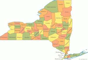 new-york-medicaid-map